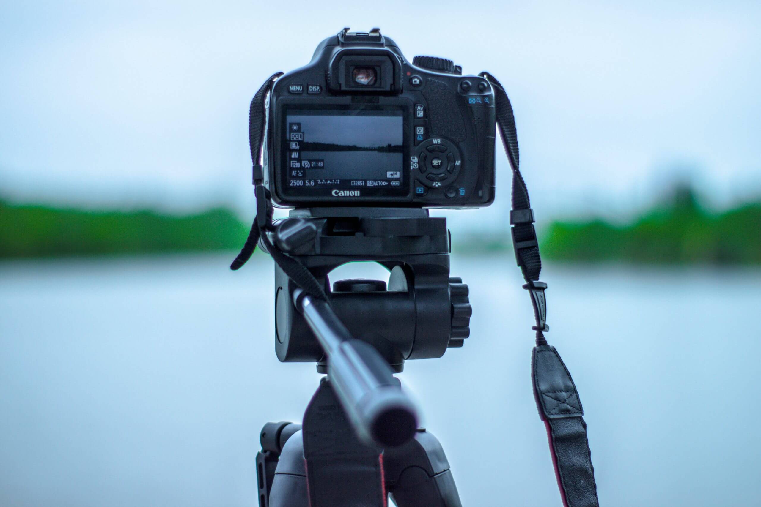 Elevating Your Brand with Video Animation Magic - Ventus Films