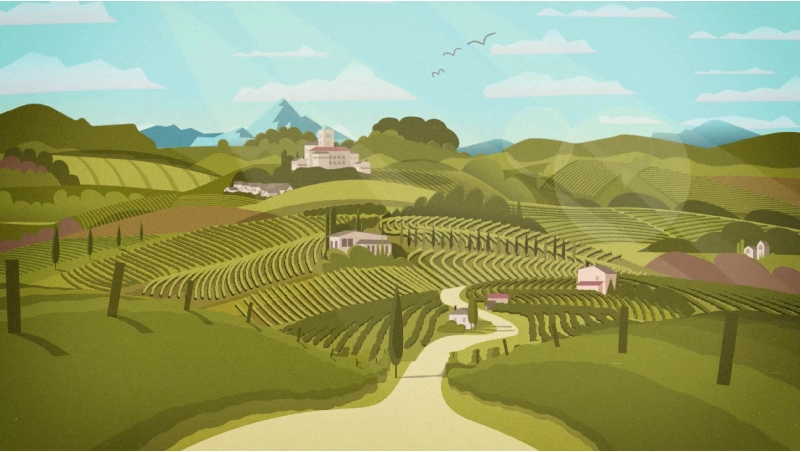 Attimo Wines 2D animated explainer video featuring Italian vineyard landscapes and the wine-making process.
